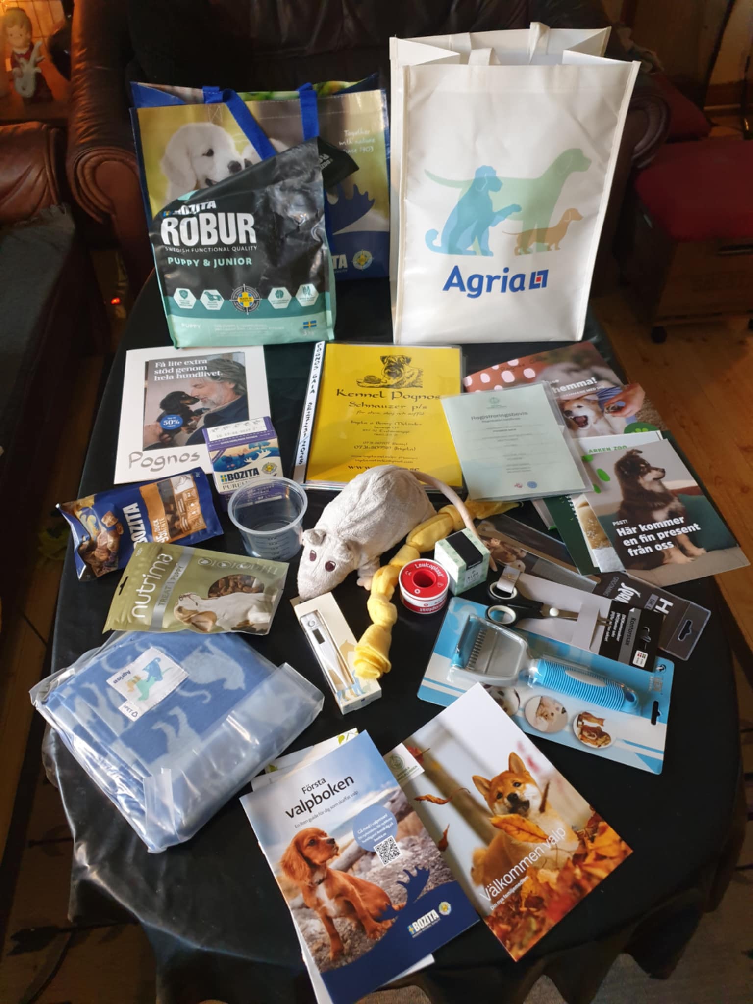 Valp-goodie-bag 2025